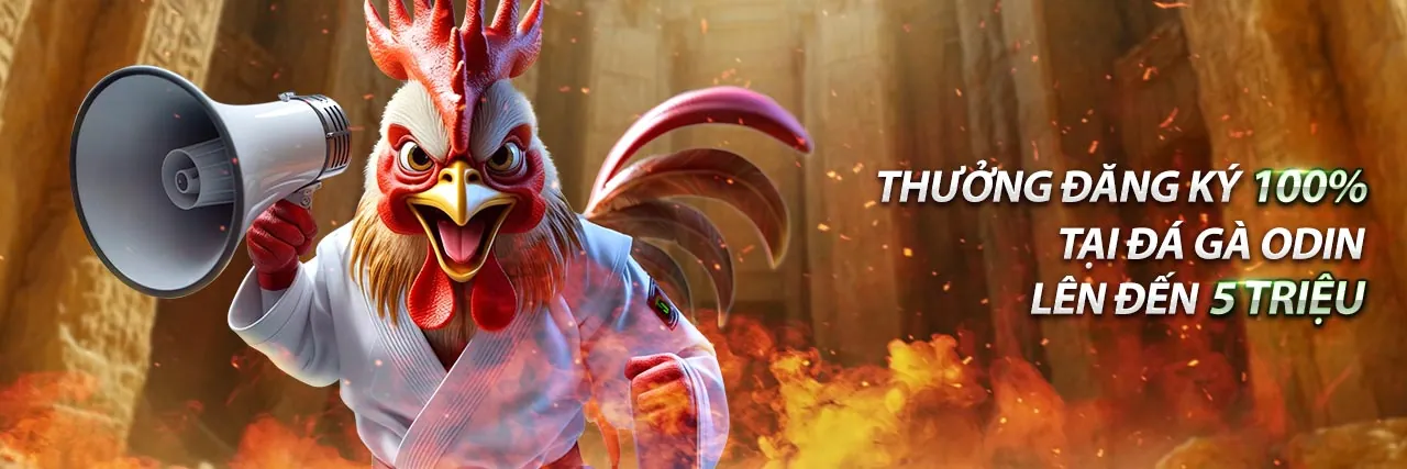 Hình ảnh minh họa quyền lợi của người chơi tại HN88 Win